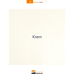 Carmen-Opak Sıva Altı Çocuk Korumalı İkili Topraklı Priz (Beyaz I Krem)_Viko by Panasonic