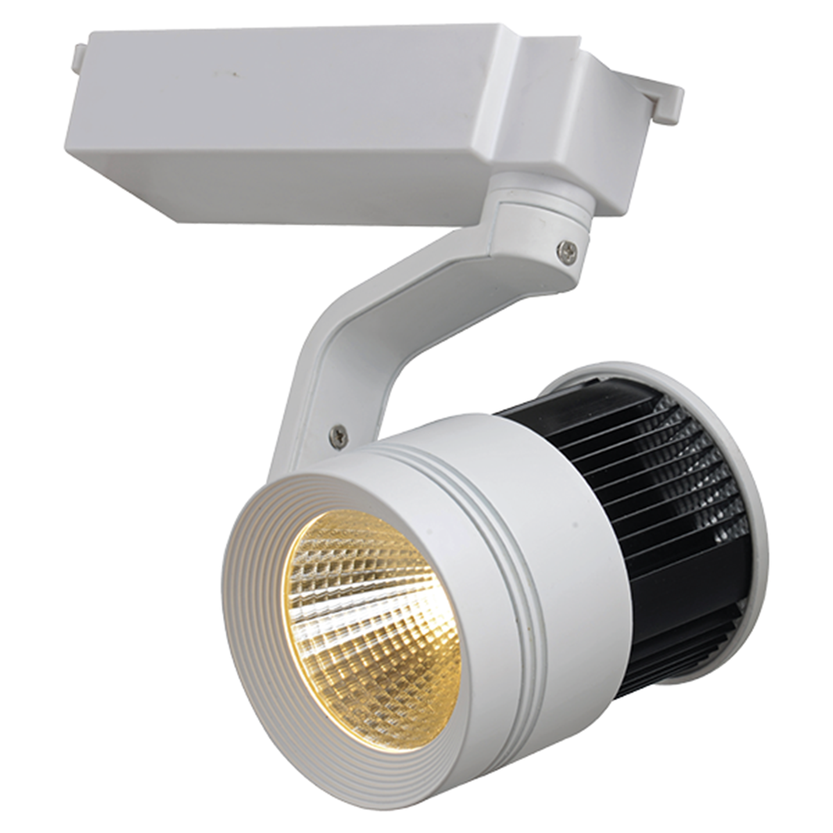 ACK_32W COB LED Ray Spot Armatür Beyaz Kasa 2800Lm_6401-021
