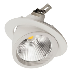 ACK_30W COB LED Salyangoz Armatür 2450Lm Beyaz Kasa_AD36-00400